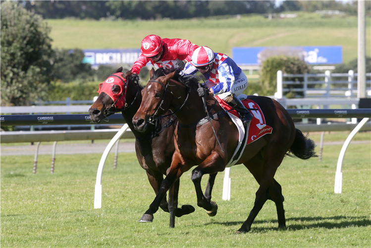 Shoshone digs deep to hold out Justacanta (inner) as she takes out her third victory from four starts at Ellerslie