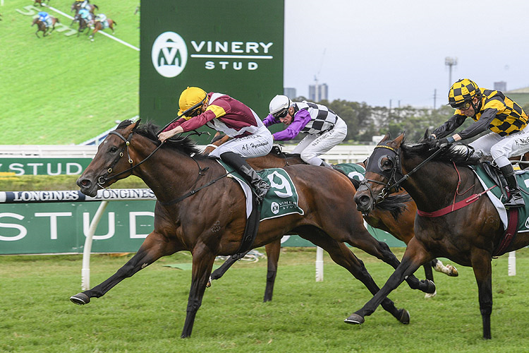 SHOUT THE BAR winning the Vinery Stud Stakes.