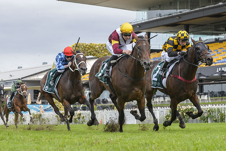 SHOUT THE BAR winning the Vinery Stud Stakes