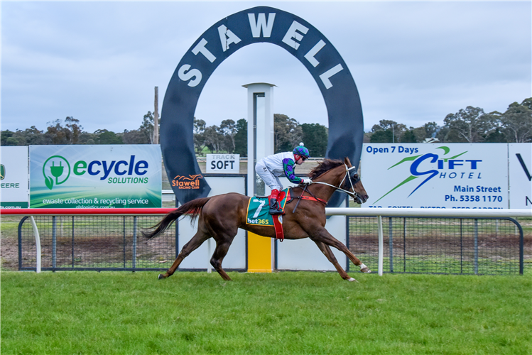 It is Cup Day at Stawell
