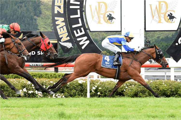 SHOWBEEL winning the Nz Bloodstock Desert Gold Stks