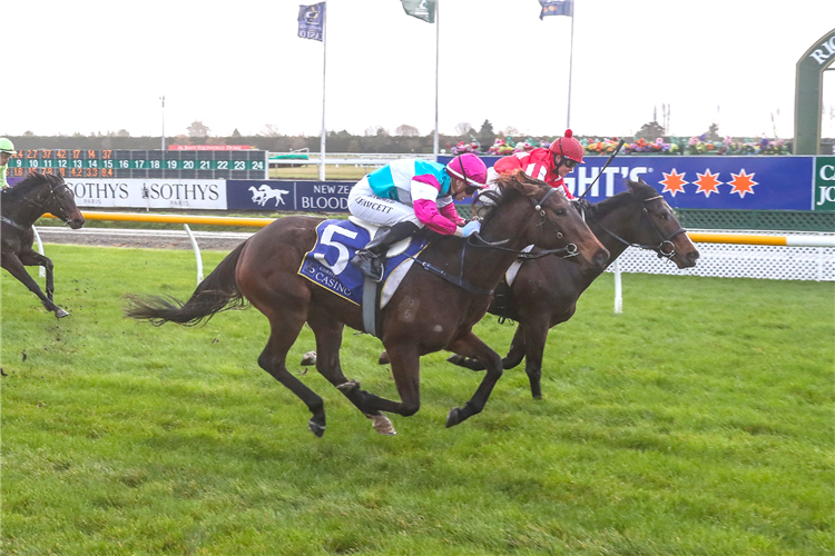 Showgem (inner) battles strongly to register a win on debut at Riccarton