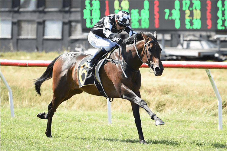 SINARAHMA winning the Wairarapa T'bred Breeders Stks