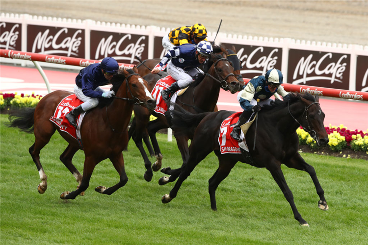 SIR DRAGONET winning the Cox Plate at Moonee Valley in Australia.