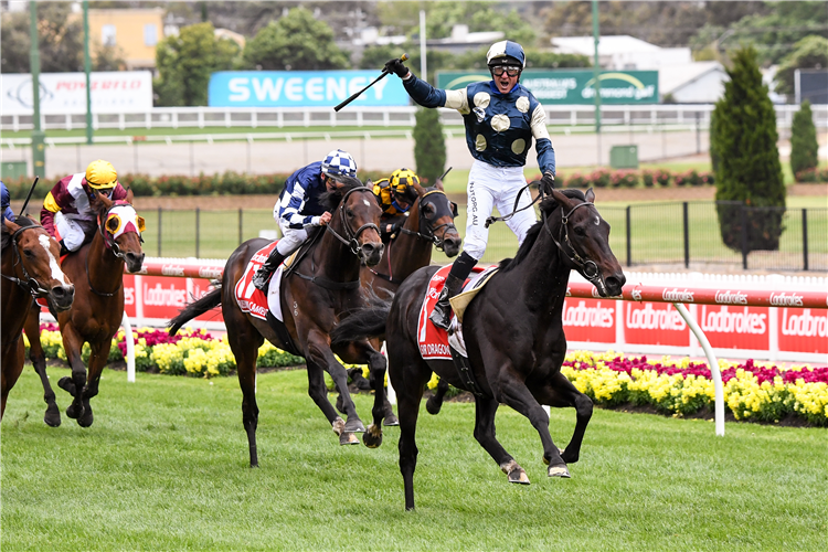 SIR DRAGONET winning the Cox Plate at Moonee Valley in Australia.