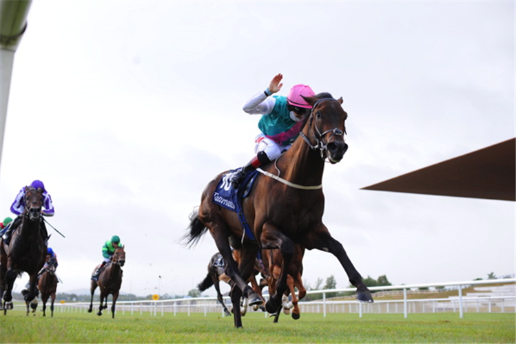 SISKIN winning the Tattersalls Irish 2,000 Guineas (Group 1)