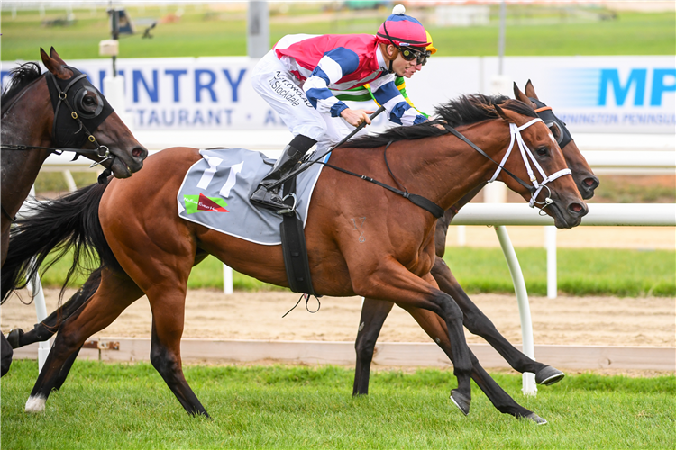 SIZZLEFLY winning the No Fuss Event Hire Handicap.