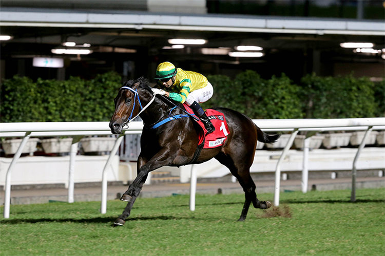 SKY DARCI winning the Belcher Bay Hcp (C3)