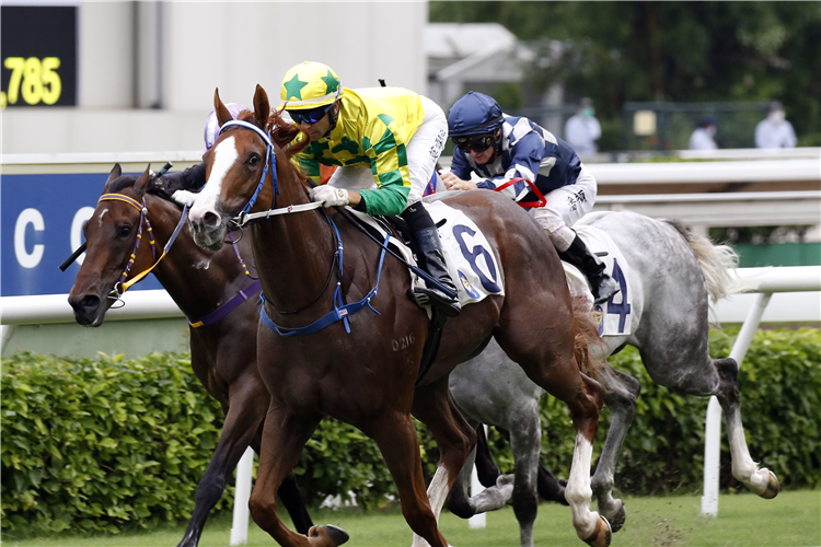 SKY FIELD winning the Hung Hom Hcp.