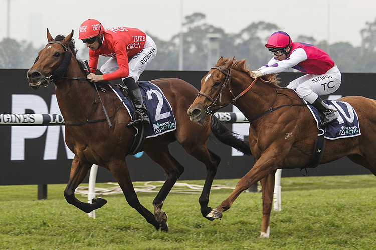 SMART IMAGE winning the Sky Racing Active Hcp