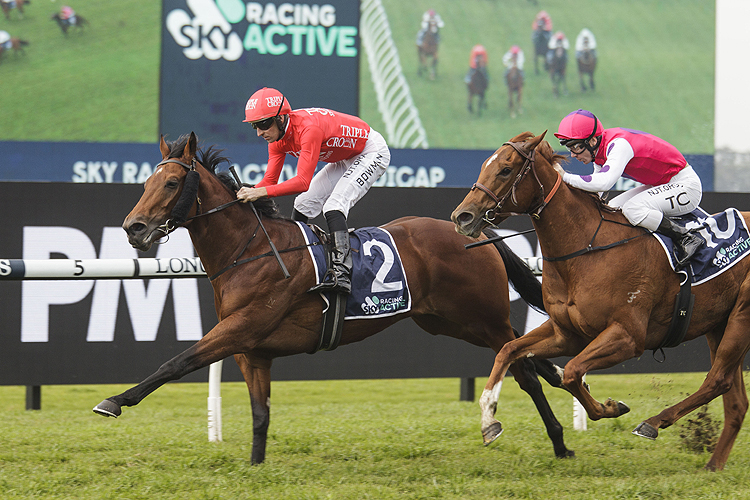 SMART IMAGE winning the Sky Racing Active Hcp