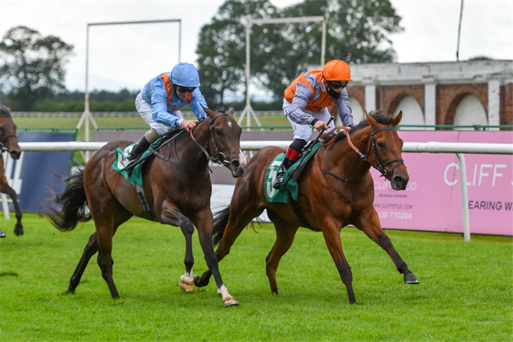 SOLDIERPOY winning the RacingTV Profits Returned To Racing Novice Auction Stakes in Thirsk, England.