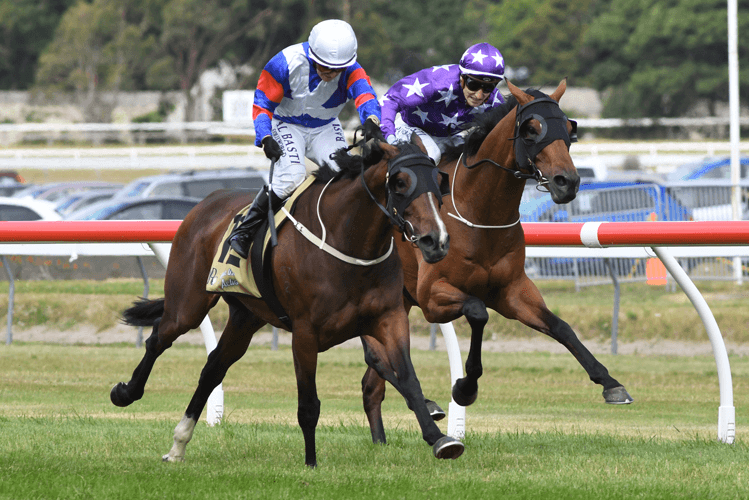 SOLESEIFEI winning the Nz Campus Wellington Cup