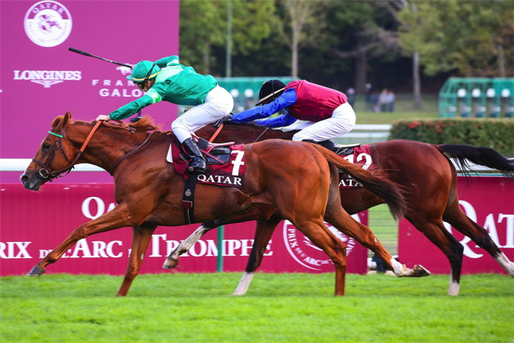 SOTTSASS winning the QATAR PRIX DE L'ARC DE TRIOMPHE