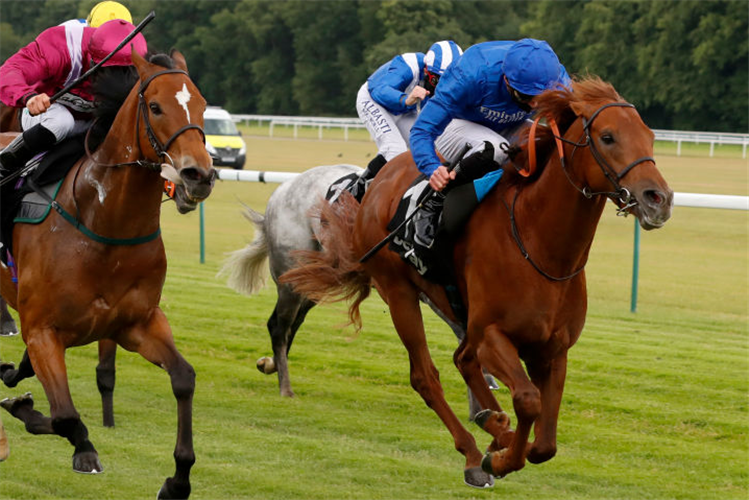 SPACE BLUES winning the Betway Spring Trophy Stakes in Haydock, England.