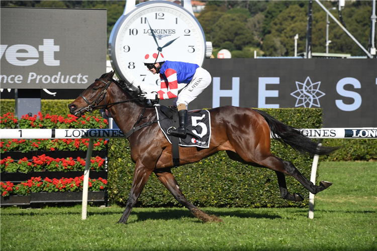 SPACEBOY winning the Ranvet (Bm78).