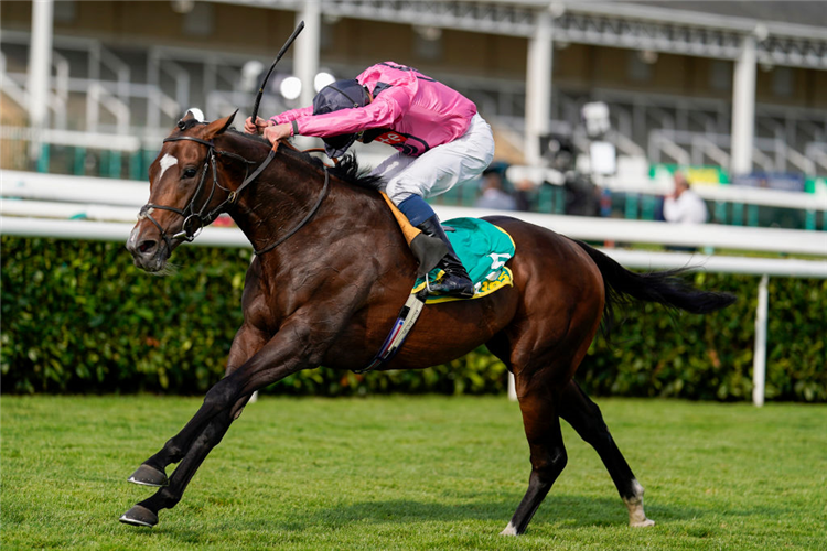 SPANISH MISSION winning the Doncaster Cup Stakes at Doncaster in England.