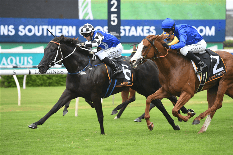 SPECIAL REWARD winning the Cellarbrations Southern Cross Stakes.