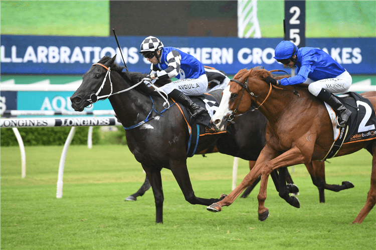 SPECIAL REWARD winning the Cellarbrations Southern Cross Stakes.