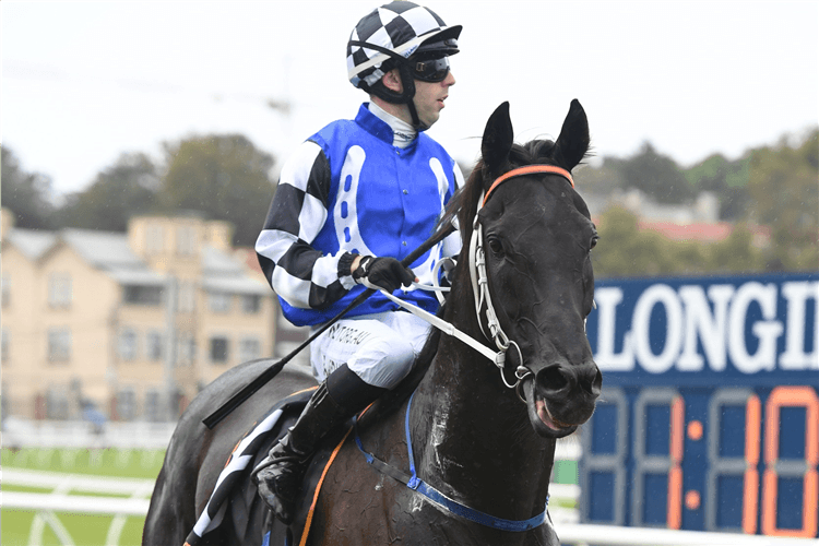 SPECIAL REWARD winning the Cellarbrations Southern Cross Stakes.