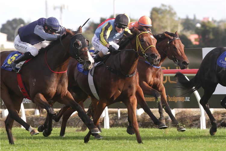 Speedy Meady (centre) will contest the Dunstan Supporting NZ Racing (800m) at Pukekohe on Saturday.