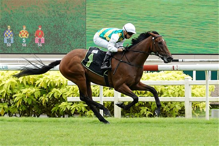 SPEEDY MISSILE winning the MR CLINT 2018 STAKES RESTRICTED MAIDEN