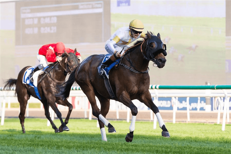 SPEEDY MOVE winning the Emirates NBD Private Banking