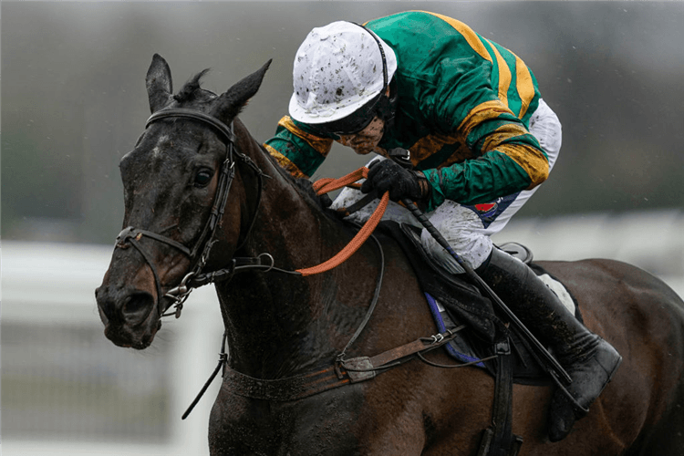 SPORTING JOHN winning the Thames Materials Novices' Hurdle in Ascot, England.