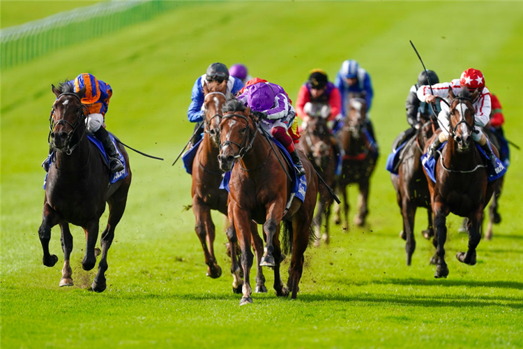 Eclipse Stakes Past Winners Results United Kingdom Racing And Sports
