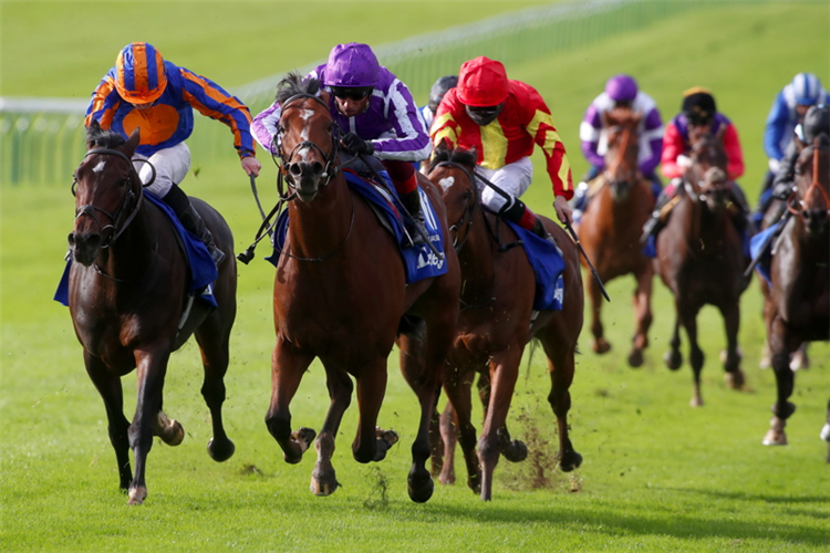 ST MARK'S BASILICA winning the Darley Dewhurst Stakes (Group 1)