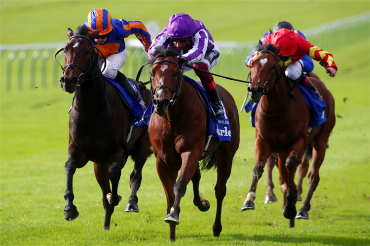 ST MARK'S BASILICA winning the Darley Dewhurst Stakes (Group 1)