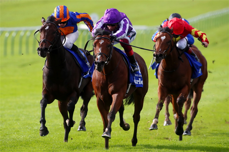 ST MARK'S BASILICA winning the Darley Dewhurst Stakes.