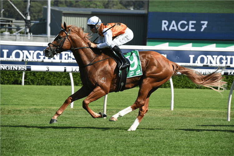 STANDOUT winning the Tab Expressway Stakes.