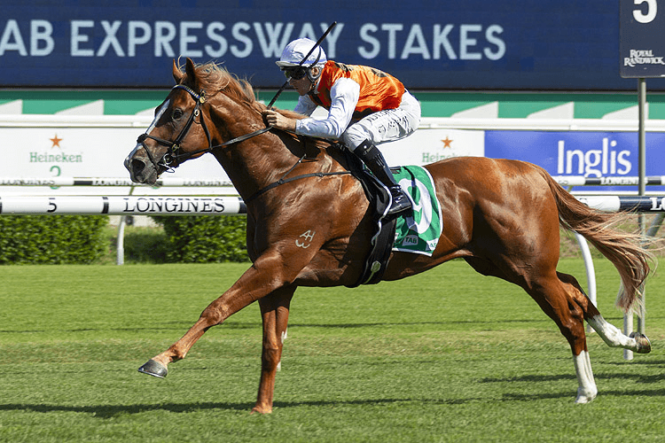 STANDOUT winning the PLACEMAKERS TIMARU / TWIZEL HANDICAP PACE