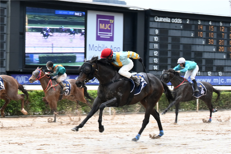 STAR OF PHOENIX winning the THE DUQUE DE CAXIAS (Div 2)