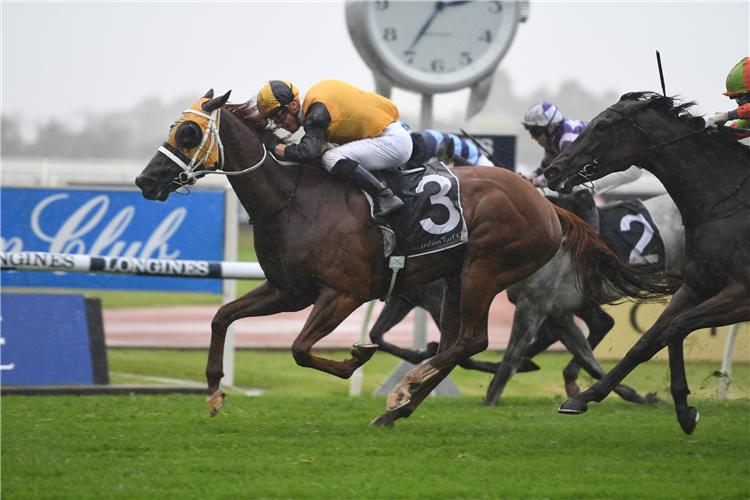 STAR OF THE SEAS winning the Canadian Club Maurice Mccarten Stakes