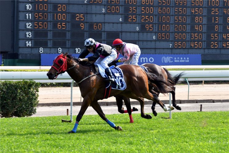 STAR OF YIU CHEUNG winning the THE BOSTON