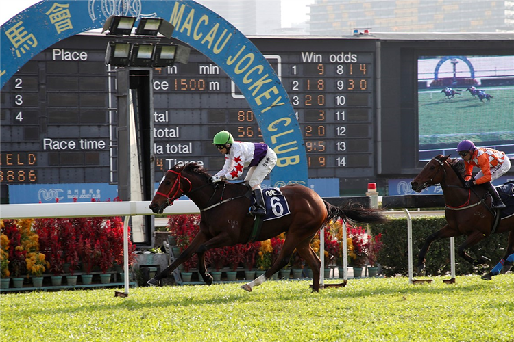 STAR OF YIU CHEUNG winning the A LIST STUD STAKES