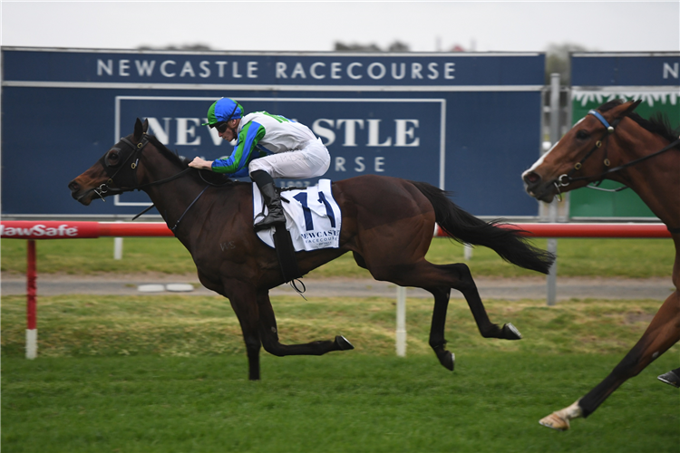 ALL SAINTS' EVE winning the Yarraman Park Tibbie Stakes at Newcastle in Australia.