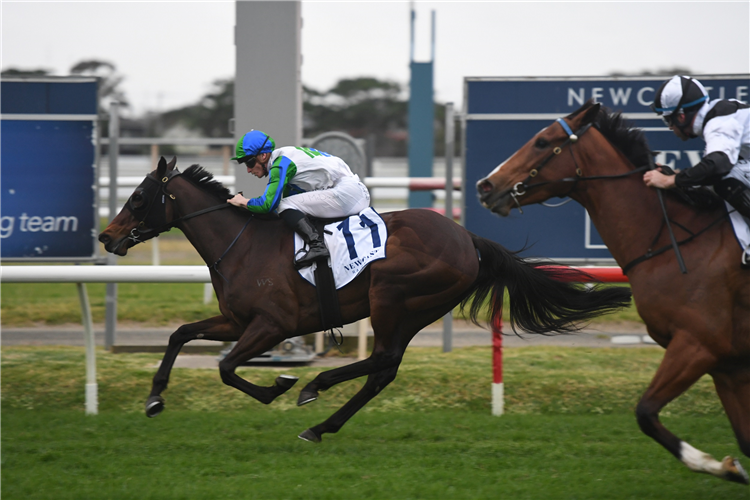 ALL SAINTS' EVE winning the Yarraman Park Tibbie Stakes at Newcastle in Australia.