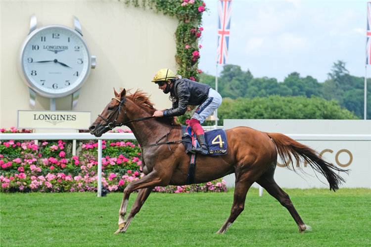 STRADIVARIUS winning the Ascot Gold Cup (British Champions Series) at Ascot in England.