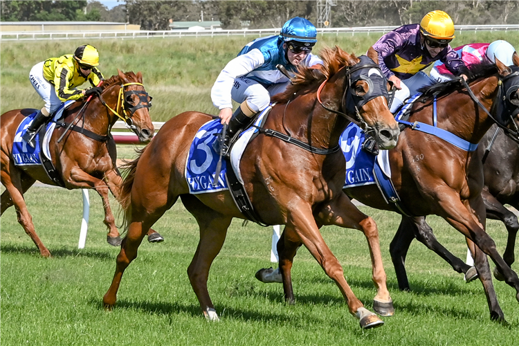 STRATESSA winning the TAC be races ready BM58 Handicap in Hamilton, Australia.