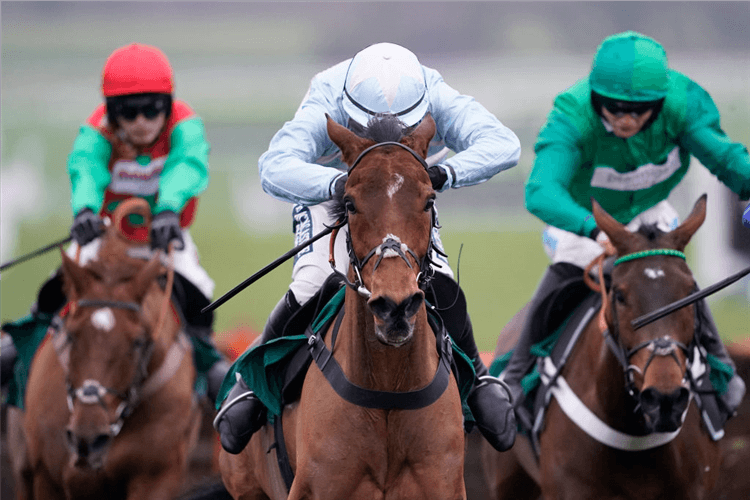 SUMMERVILLE BOY winning the Dornan Engineering Relkeel Hurdle in Cheltenham, England.