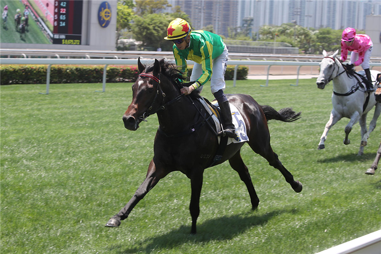 Sunny Star under Vincent Ho winning the Yau Ma Tei Griffin Plate