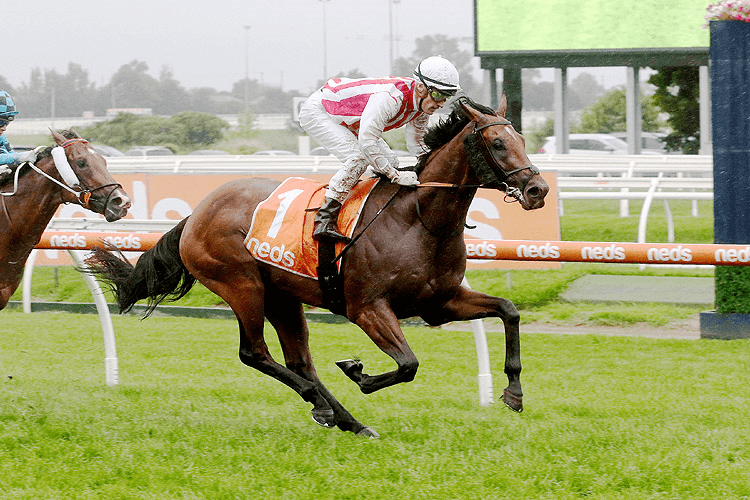 SUPER SETH winning the Neds Manfred Stakes