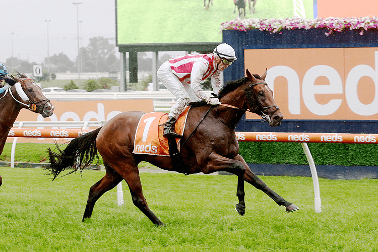 SUPER SETH winning the Neds Manfred Stakes
