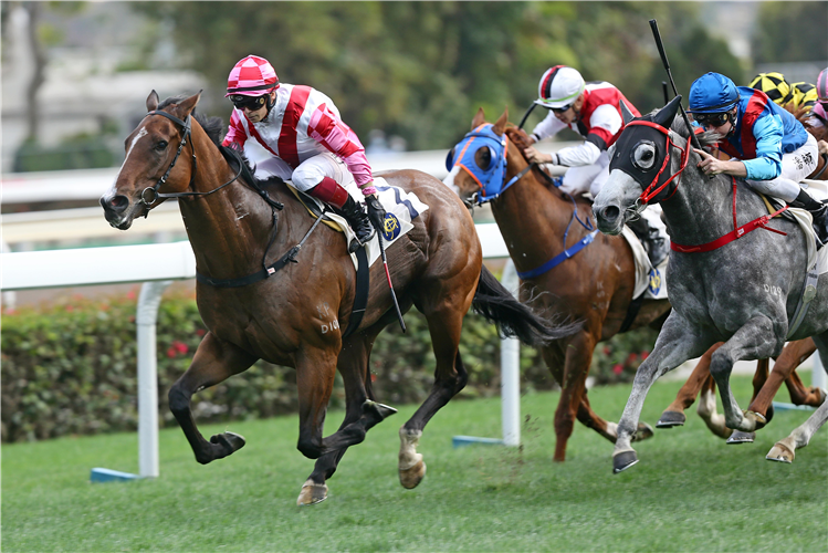 SUPER WEALTHY winning the Cheung Shan Hcp (C2)