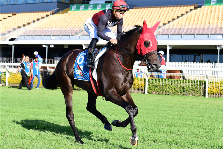 Supergiant finished runner-up to Vanna Girl in the Listed Doomben Guineas (1615m) on Saturday.