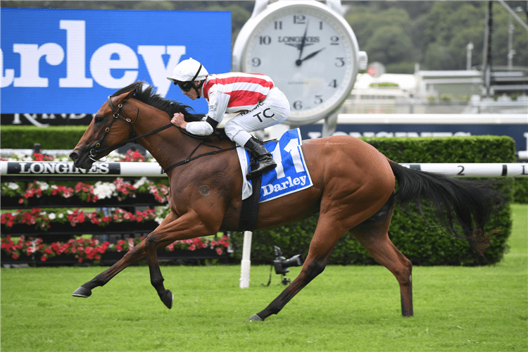 SUPREME IDEA winning the Darley Lonhro Plate.