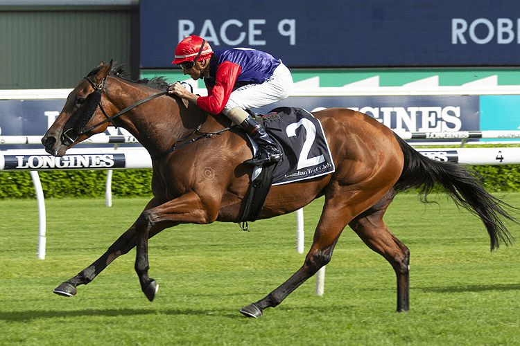 SWEET DEAL winning the Robrick Lodge Triscay Stakes